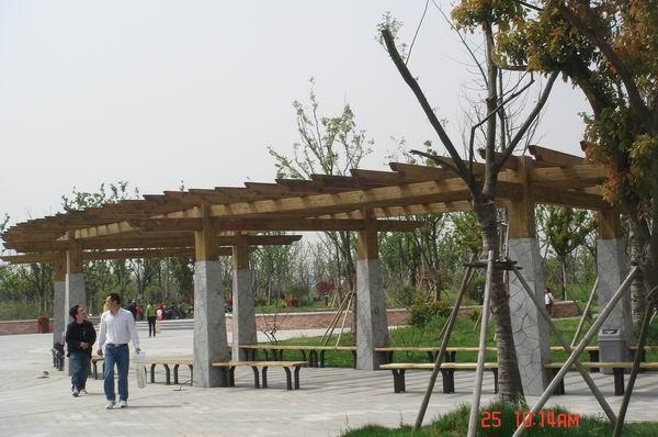 防腐木材圖片/防腐木材樣板圖 (2)