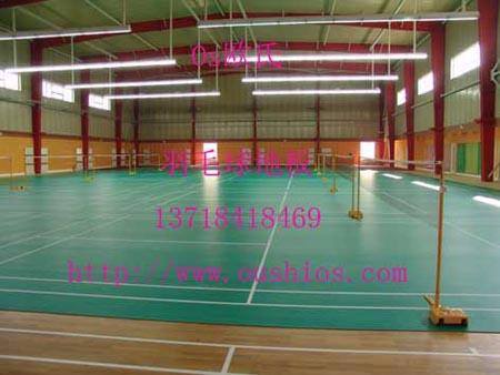 北京石景山潔福運(yùn)動地板圖片