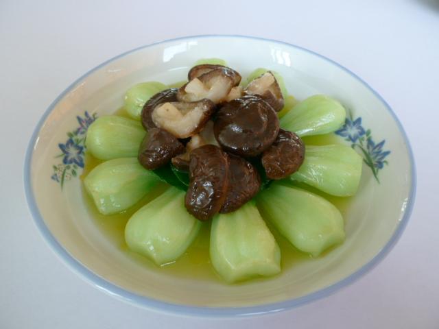 供應(yīng)優(yōu)質(zhì)假菜模型