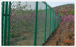 欄桿圍欄鋼格板圖片/欄桿圍欄鋼格板樣板圖 (4)