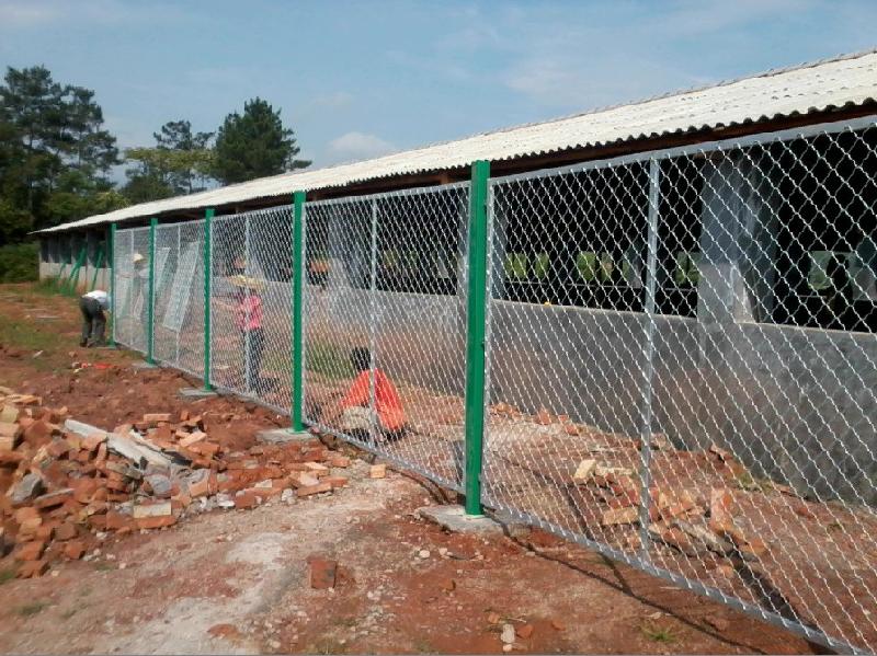 美格網(wǎng)圖片/美格網(wǎng)樣板圖 (4)