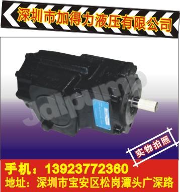 供應(yīng)丹尼遜雙聯(lián)葉片泵