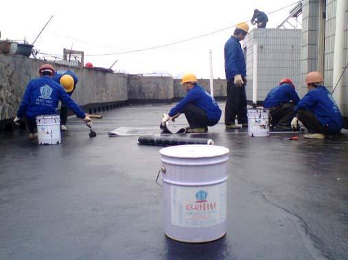 供應(yīng)蘇州房屋漏水維修工程——蘇州相城區(qū)公司廠房漏水維修做防水電話