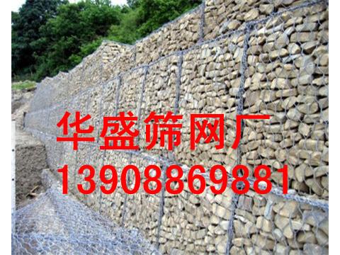 雷諾護(hù)墊圖片