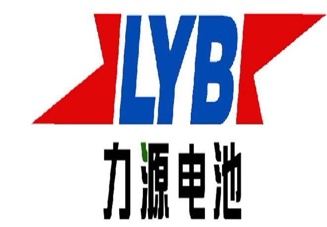 供應(yīng)電子玩具電池東莞廠家直銷，東莞專業(yè)生產(chǎn)電子玩具電池廠家，東莞電子玩具電池廠家