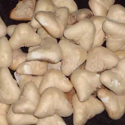 供應(yīng)新鮮菱角米