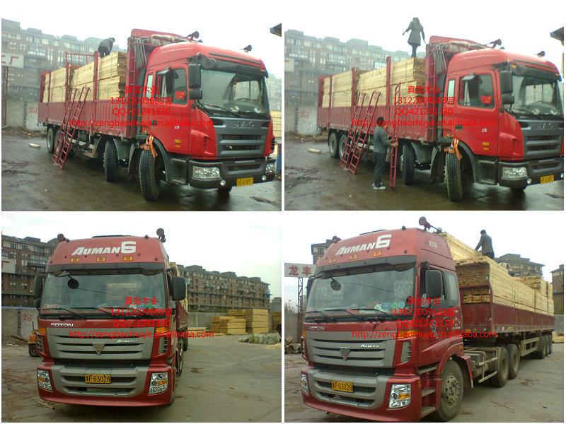 供應(yīng)工地用輻射松