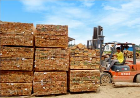 供應(yīng)工地用輻射松木方 13122009688曾