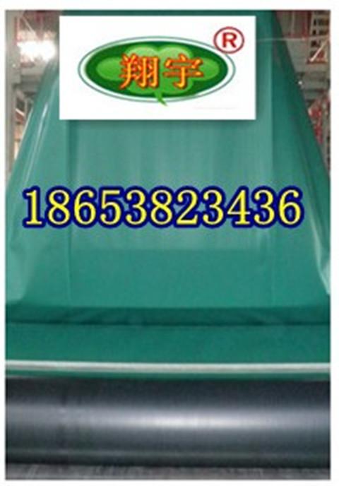 承德市0.5-1.5mm黑綠雙色土工膜基地186538234