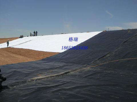 酒泉市土工膜廠家圖片