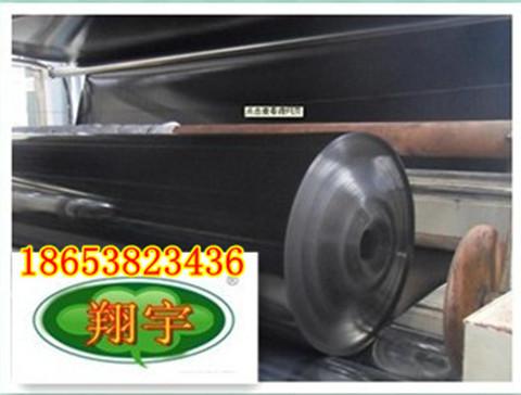 供應(yīng)養(yǎng)殖土工膜蘭州養(yǎng)殖土工膜蘭州養(yǎng)殖土工膜廠家