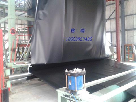 黑色功能土工膜圖片