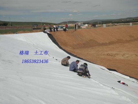 國(guó)標(biāo)土工膜批發(fā)圖片
