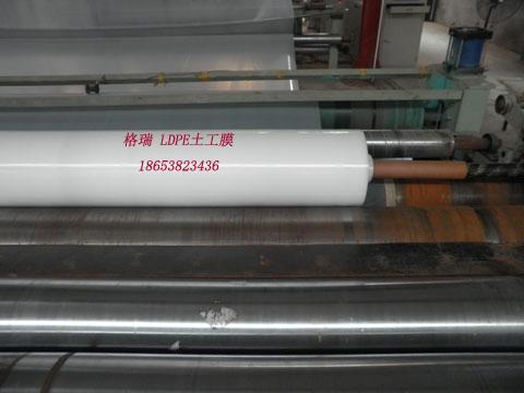 供應(yīng)質(zhì)量達標土工膜