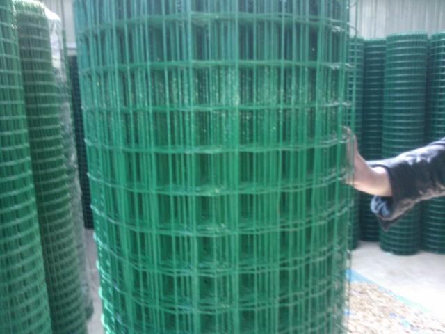 供應荷蘭網(wǎng)/浸塑荷蘭網(wǎng)/pvc荷蘭網(wǎng)