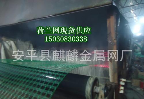 荷蘭網(wǎng)/荷蘭網(wǎng)圍欄網(wǎng)圖片