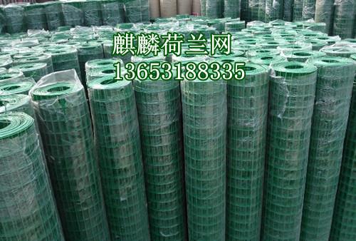 供應(yīng)荷蘭網(wǎng)/荷蘭網(wǎng)圍欄網(wǎng)