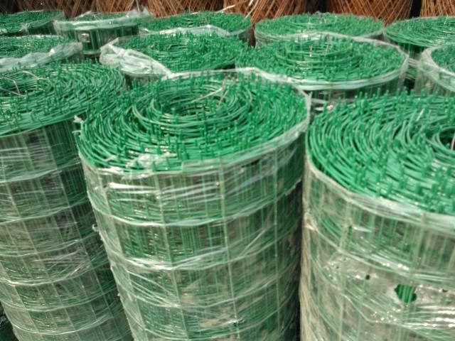 供應(yīng)荷蘭網(wǎng)/浸塑荷蘭網(wǎng)