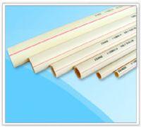 河北辛集PPR管材價(jià)格圖片