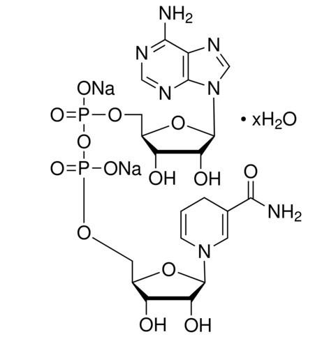 NADHNa2圖片