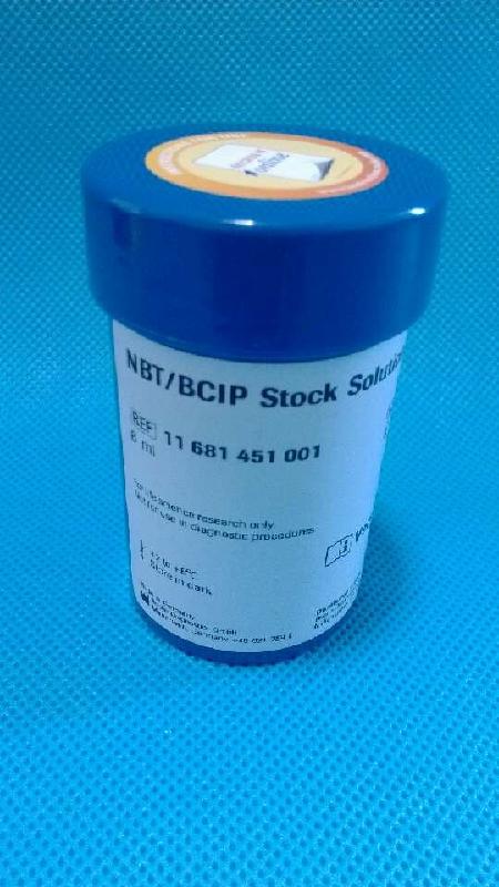 供應(yīng)Snailase蝸牛酶；武漢供應(yīng)Snailase蝸牛酶