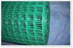 荷蘭網(wǎng)圖片/荷蘭網(wǎng)樣板圖 (4)