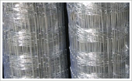 烏魯木齊牛欄網(wǎng)圖片