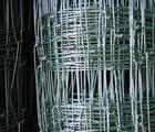 供應(yīng)圈地鐵絲網(wǎng)，建筑鐵絲網(wǎng)，鐵絲網(wǎng)圍欄