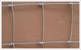 牛欄網(wǎng)圖片/牛欄網(wǎng)樣板圖 (3)