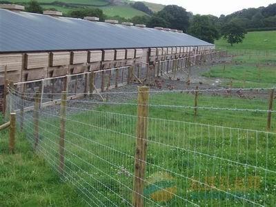 呼和浩特圖片/呼和浩特樣板圖 (3)