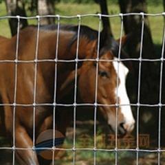 供應(yīng)圈地鐵絲網(wǎng)，建筑鐵絲網(wǎng)，鐵絲網(wǎng)圍欄