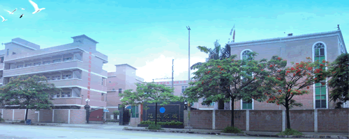 供應(yīng)魚(yú)漿精濾機(jī) 打魚(yú)漿機(jī)批發(fā) 去魚(yú)皮機(jī)價(jià)格 小型去魚(yú)骨機(jī)