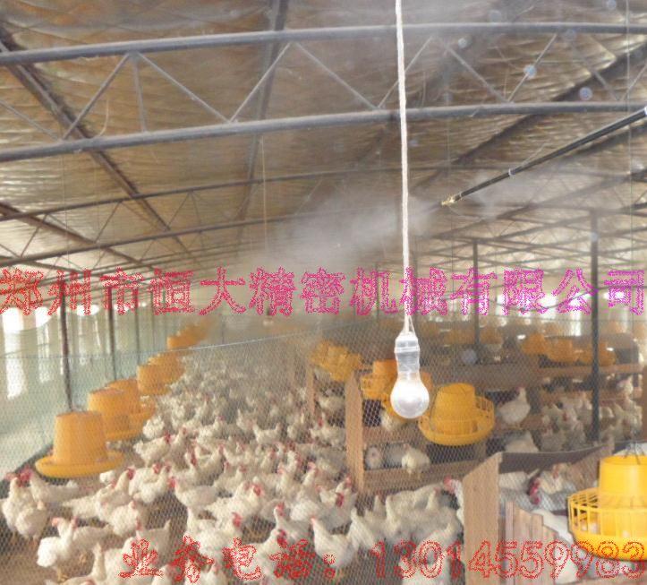 供應(yīng)養(yǎng)殖場冷霧系統(tǒng)、養(yǎng)殖場冷霧降溫系統(tǒng)、養(yǎng)雞養(yǎng)豬冷霧降溫設(shè)備