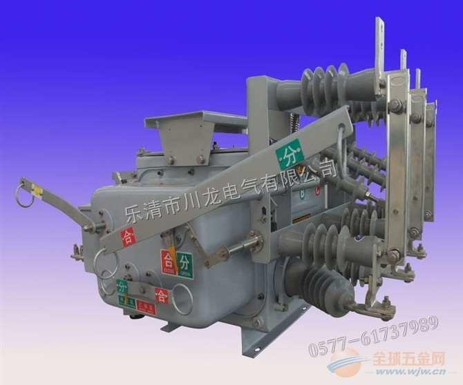 供應(yīng)ZW20智能分界開關(guān) ZW20AF-12看門狗斷路器 ZW20A