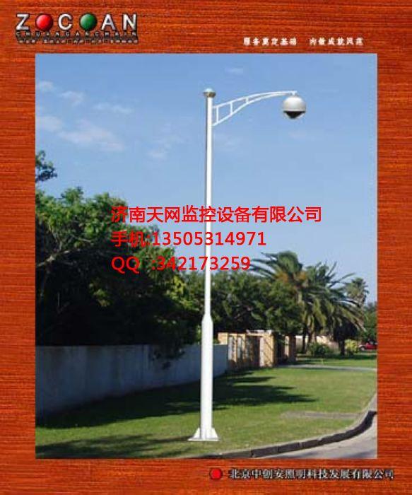 衡水監(jiān)控立桿圖片