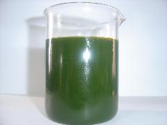 供應輪胎芳烴油/輪胎*芳烴油