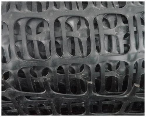 供應(yīng)鋼塑土工格柵-*技術(shù)廠家