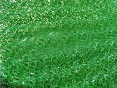 三維植被網(wǎng)專業(yè)生產(chǎn)商肥城三杰圖片