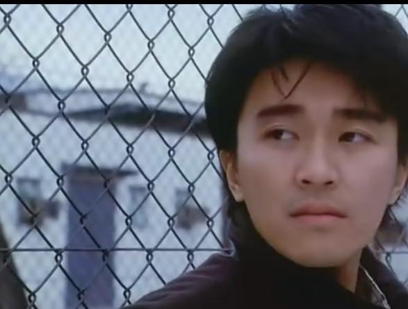 供應勾花網(wǎng)  勾花網(wǎng)廠 鍍鋅勾花網(wǎng) 擰絲勾花網(wǎng) 包塑勾花網(wǎng)