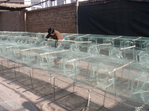 供應(yīng)河北三眼白洋淀地籠