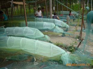 供應(yīng)河北地籠*家有限公司