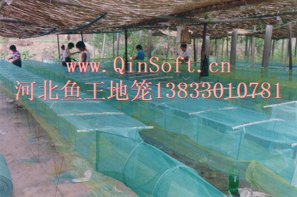 供應河北向陽*家地籠漁網(wǎng)