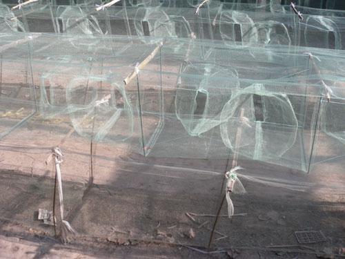 供應向陽地籠網價格0312-5111886