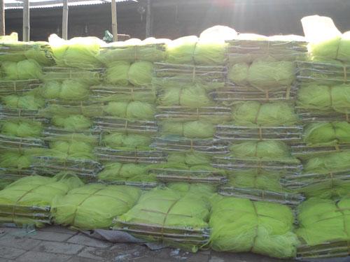 供應(yīng)河北三眼白洋淀地籠