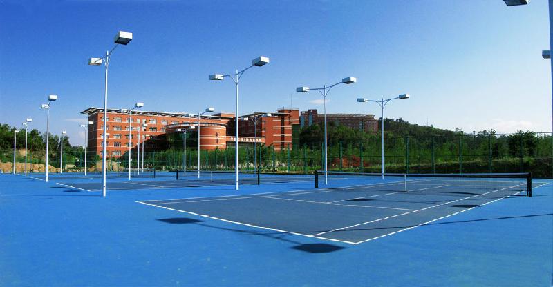 供應(yīng)球場(chǎng)翻新改造