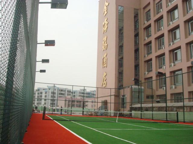 供應(yīng)惠州網(wǎng)球場(chǎng)地面建設(shè)