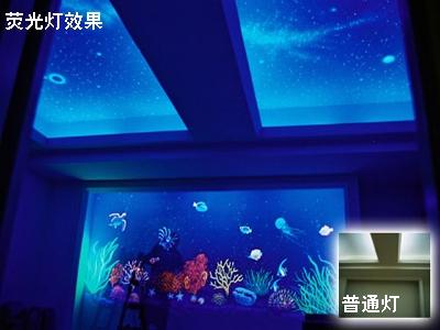 供應(yīng)夢幻天使隱形畫/夢幻漆