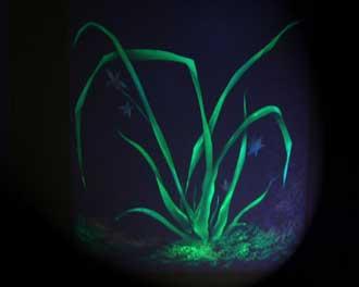 供應(yīng)液體壁紙批發(fā)/液體壁紙裝飾