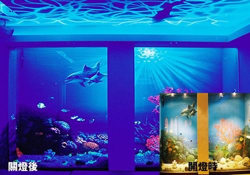 供應(yīng)夢幻天使漆/夢幻天使漆廠家