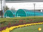 供應邯鄲陽光板 邯鄲陽光板溫室 邯鄲溫室陽光板